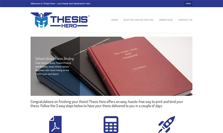 web shop thesis
