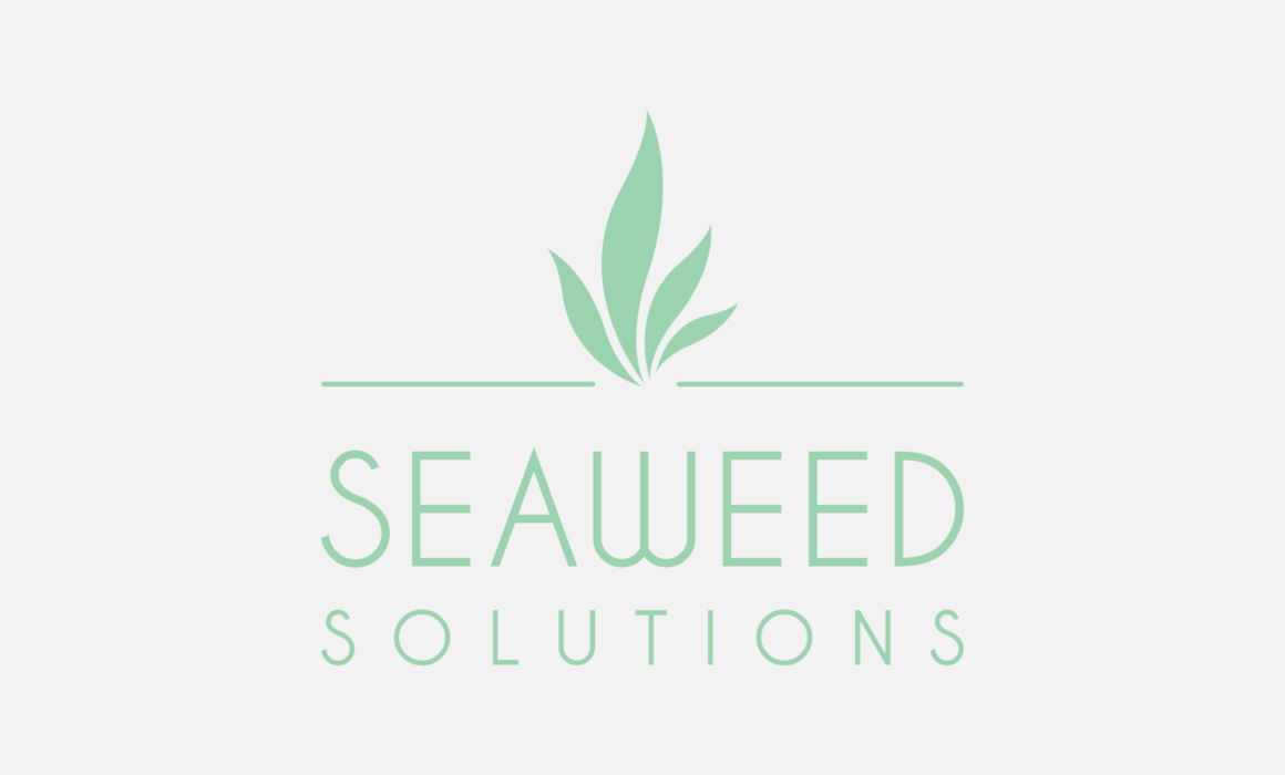 Seaweed Solutions logo, embodying the natural essence of seaweed for sustainable skincare.