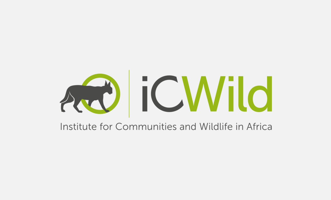 iCWild logo representing human-wildlife coexistence in Africa designed by Imago Visual