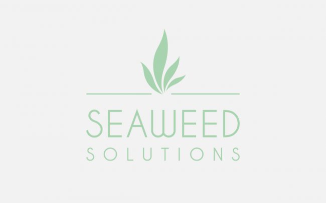 Seaweed Solutions logo design