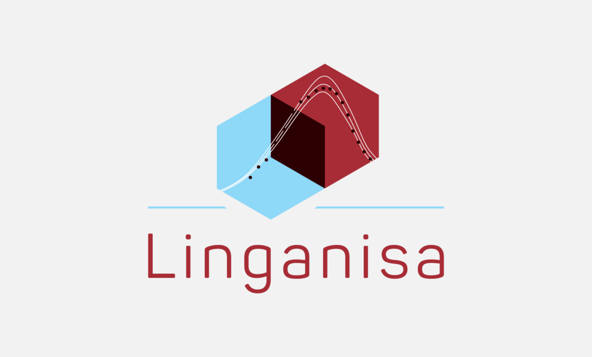 Logo of Linganisa project designed by Imago Visual, showcasing balance and precision in HIV and TB research.