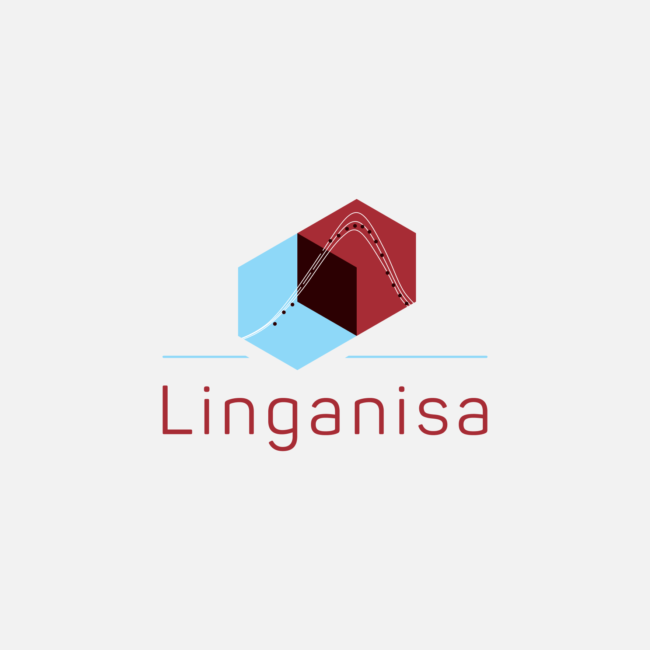 Logo of Linganisa project designed by Imago Visual, showcasing balance and precision in HIV and TB research.